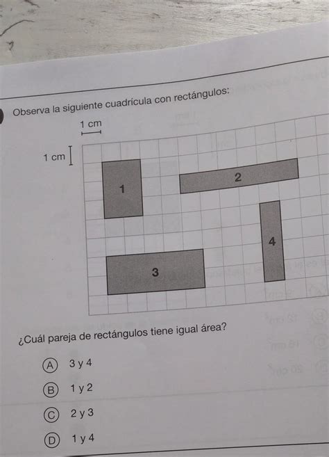 Observa La Siguiente Cuadr Cula Con Rect Ngulos Cu L Pareja De