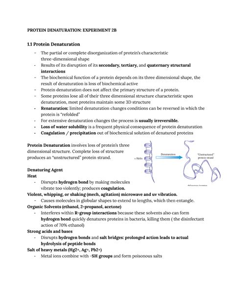 Biochem Lab Notes Protein Denaturation Experiment B Protein