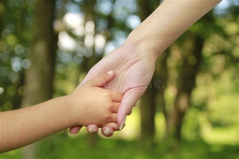 Le Parent Tient La Main D Un Petit Enfant Photo Stock Image Du Adulte