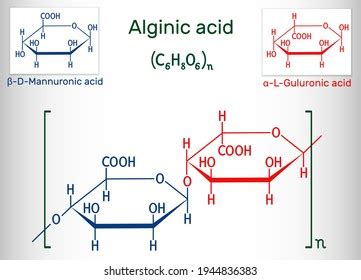 Alginic Acid Align Alginate Molecule Polysaccharide Stock Vector