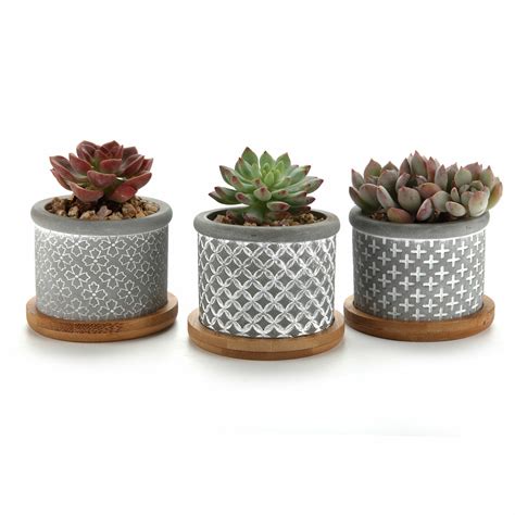 Lot De Petits Pots Pour Plantes Succulentes Les Plantes Vases Et