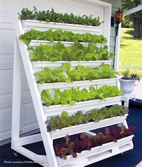 Diy Vertical Vegetable Gardening Ideas