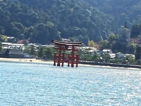 公園の樹木と花 厳島「厳島神社の鳥居、宮島口の扇状地、海に浮かぶ鳥居、厳島神社、弥山の巨岩、イチョウの黄葉、カエデの紅葉、四宮神社前の紅葉