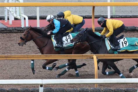 【京都記念】ベラジオオペラ戦慄の動き！cwコースで馬なりシャープに最先着｜競馬ニュース｜競馬予想のウマニティ