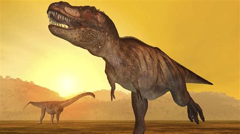 Los dinosaurios estaban en declive ya antes de su extinción Los Tiempos