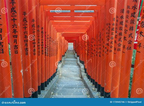 Tunnel of Red Torii Gates at Hie Shrine, Akasaka, Tokyo Stock Photo - Image of landmark, japan ...