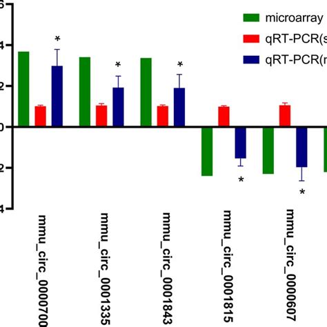 QRTPCR Validation Of The Chosen CircRNAs Horizontal And Vertical