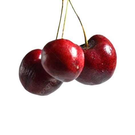 Bunch Of Fresh Cherries A String Fresh Cherry Png Transparent Image