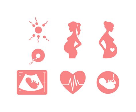 Pregnancy Icon Set Vector Art And Graphics