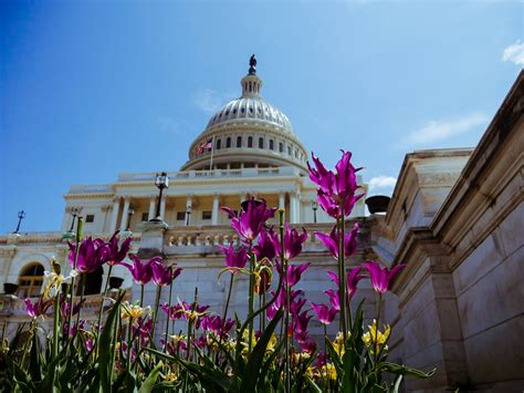 House Of Representatives Passes Critical Bill To Advance Efforts For