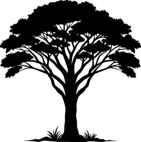 A Illustration Of African Tree Silhouette 45362400 Vector Art At Vecteezy