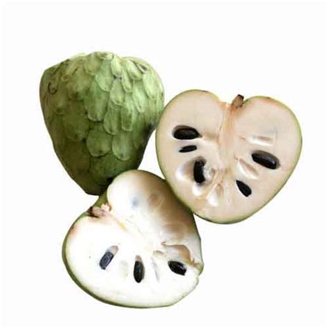 Atemoya Fruit Nutrition Facts Atemoya Fruit Health Benefits