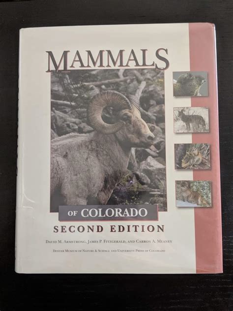 Mammals Of Colorado Second Edition Zoochat