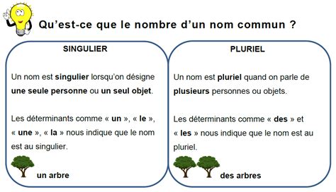 Exercices Sur Le Genre Et Le Nombre Des Noms Cm1