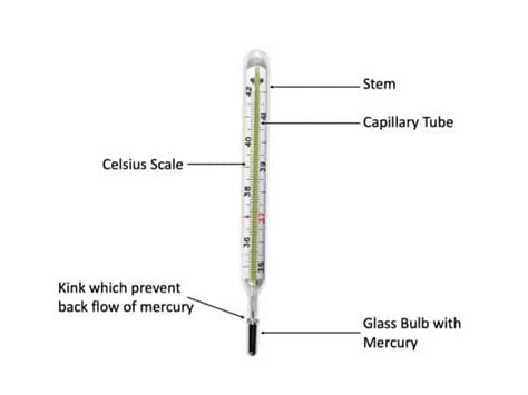 Parts Of A Thermometer Diagram Mabis Flex Tip Digital Thermo