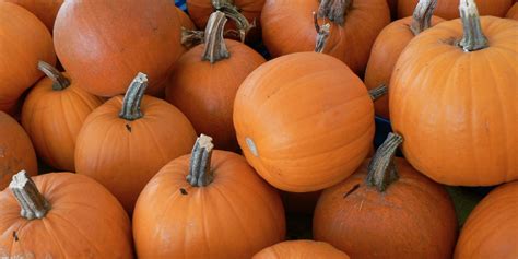 How To Cook With Fresh Pumpkin | HuffPost