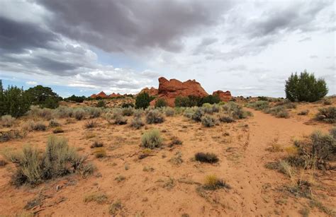 10 Best hikes and trails in Vermilion Cliffs National Monument | AllTrails