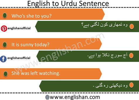 100 English Urdu Sentences Of Daily Routine With Pdf • Englishan