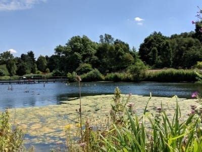 A Visit to Pensthorpe Natural Park, nr Fakenham, Norfolk