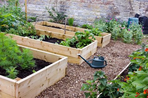 How To Keep Weeds Out Of A Raised Garden Bed At David Modzelewski Blog