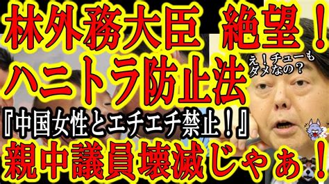 【絶望の林外務大臣！『ハニトラ防止法案を成立させよ！』】スパイ防止法が難しいなら『ハニトラ防止法』を作れ！これだけで親中議員は壊滅状態になるぞ