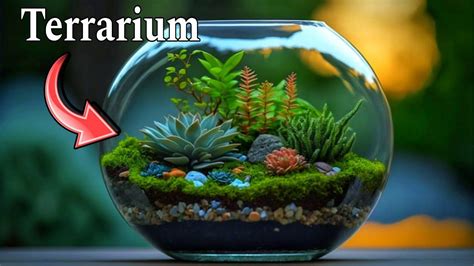 How To Make A Terrarium Simple Beginner Guide Terrarium Youtube