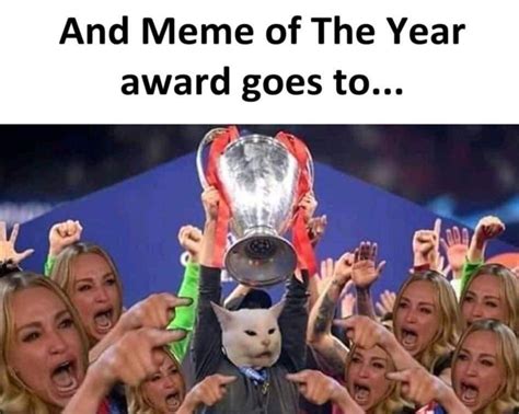 Award winning cat : r/memes