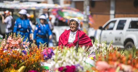 Esta Es La Programación De La Feria De Las Flores 2018 Mioriente