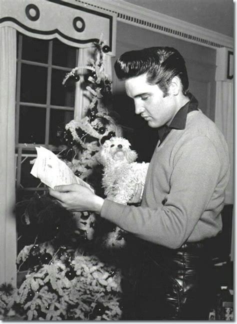 Elvis Presley With White Toy Poodle Who Belonged To Gladys Presley And