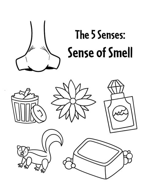 The 5 Senses Worksheets For Preschool ⋆ The Hollydog Blog Scienza Senso