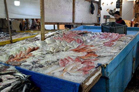 Fish Market In Hurghada Description And Reviews Opening Hours And