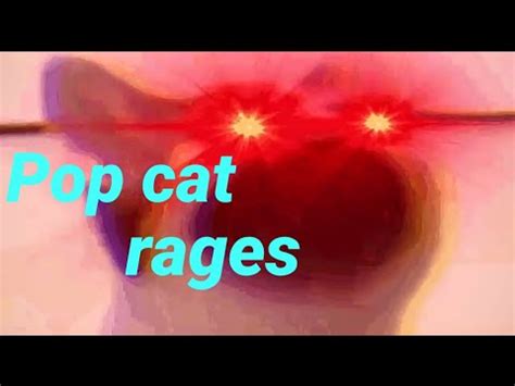 POP CAT rages *loud sound warning* | S.W.A.N FORCE | Pop Cat | Know Your Meme