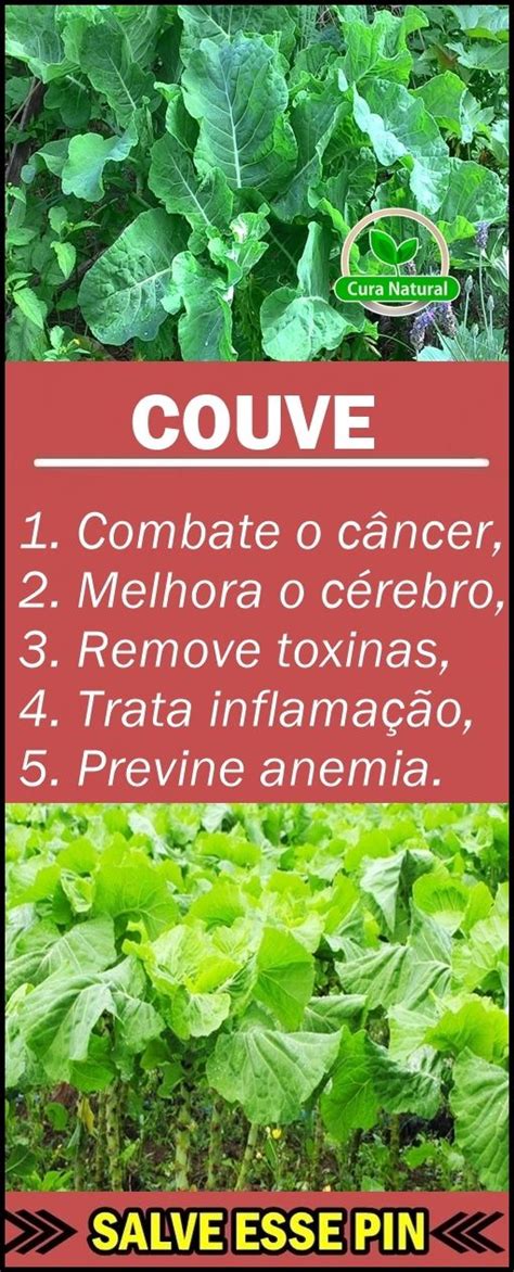 Benef Cios Da Couve Para Sa De E Beleza Beneficios Da Couve