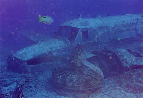 9 Amazing Airplane Wrecks to Dive • Scuba Diver Life