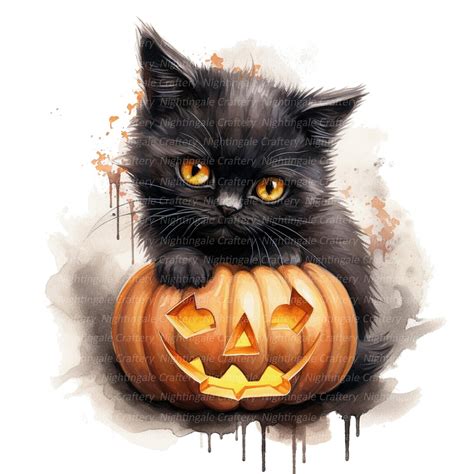 14 Cat and Pumpkin Clipart Halloween Clipart Printable - Etsy