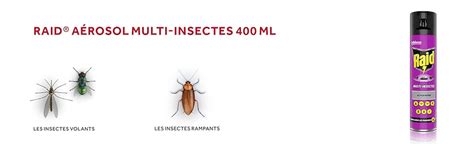 Raid aérosol multi insectes 400 ml Amazon fr Epicerie