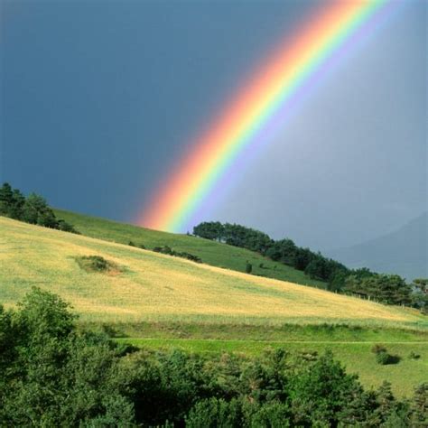 So Viele Farben Wie Ein Regenbogen Entsteht Und Warum Er Uns So