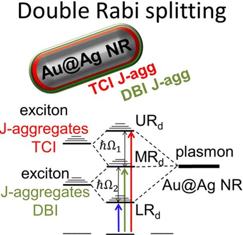 Double Rabi Splitting In A Strongly Coupled System Of Coreshell Au Ag