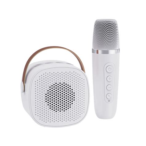 GOOJODOQ Speaker Portable Karaoke Wireless Bluetooth Speaker With