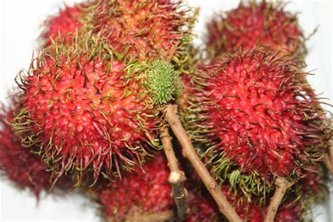 Rambutan