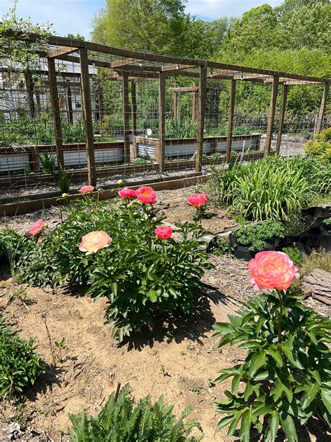 Moser Manor Farms | Chattanooga TN