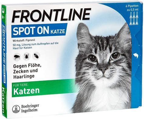 Ohrmilben Bei Der Katze Ursachen Symptome Und Effektive Behandlung