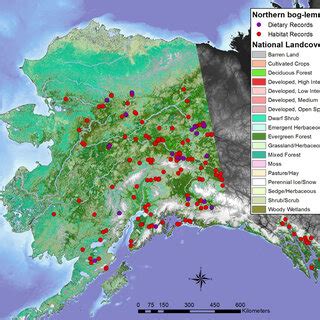 Northern bog lemming Synaptomys borealis records used in dietary ...