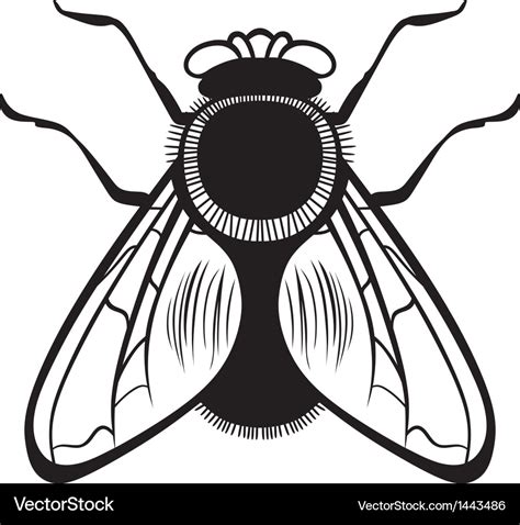 Silhouette Flies Royalty Free Vector Image Vectorstock