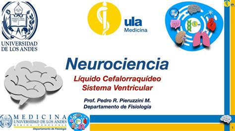 Líquido Cefalorraquídeo y Sistema Ventricular YouTube