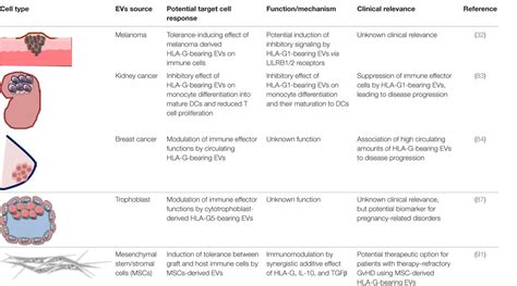 Frontiers The Potential Of Hla G Bearing Extracellular Vesicles As A