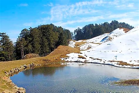 Offbeat Placeshomestaysdeoban Forest Trek Places To Visit Chakrata