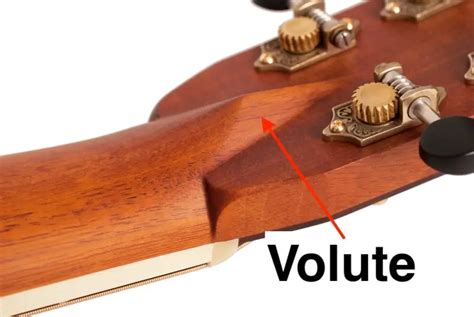 What is a Volute on a Guitar? – Traveling Guitarist