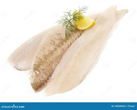 Plaice Fish Fillets stock image. Image of fish, food - 146900555