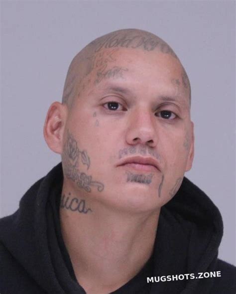 Rivera Gilberto Dallas County Mugshots Zone